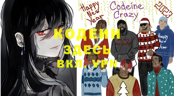 шишки Заволжье