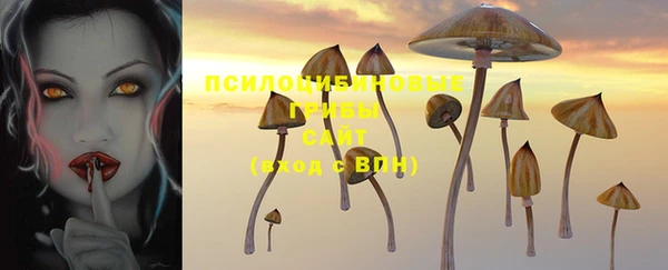 сатива Гусь-Хрустальный