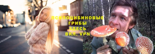 spice Горнозаводск