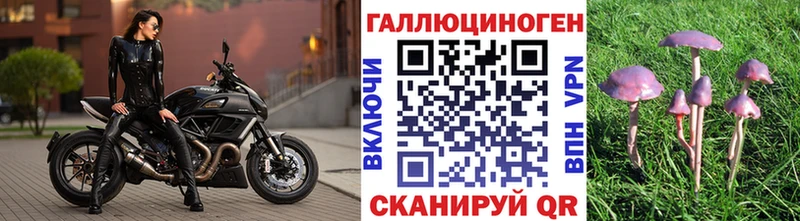 Псилоцибиновые грибы Cubensis  Дмитровск 